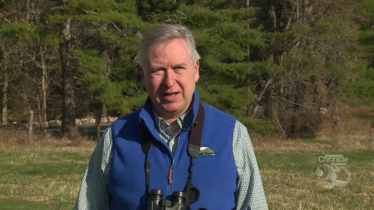 The life-saving information birds give us about the environment
