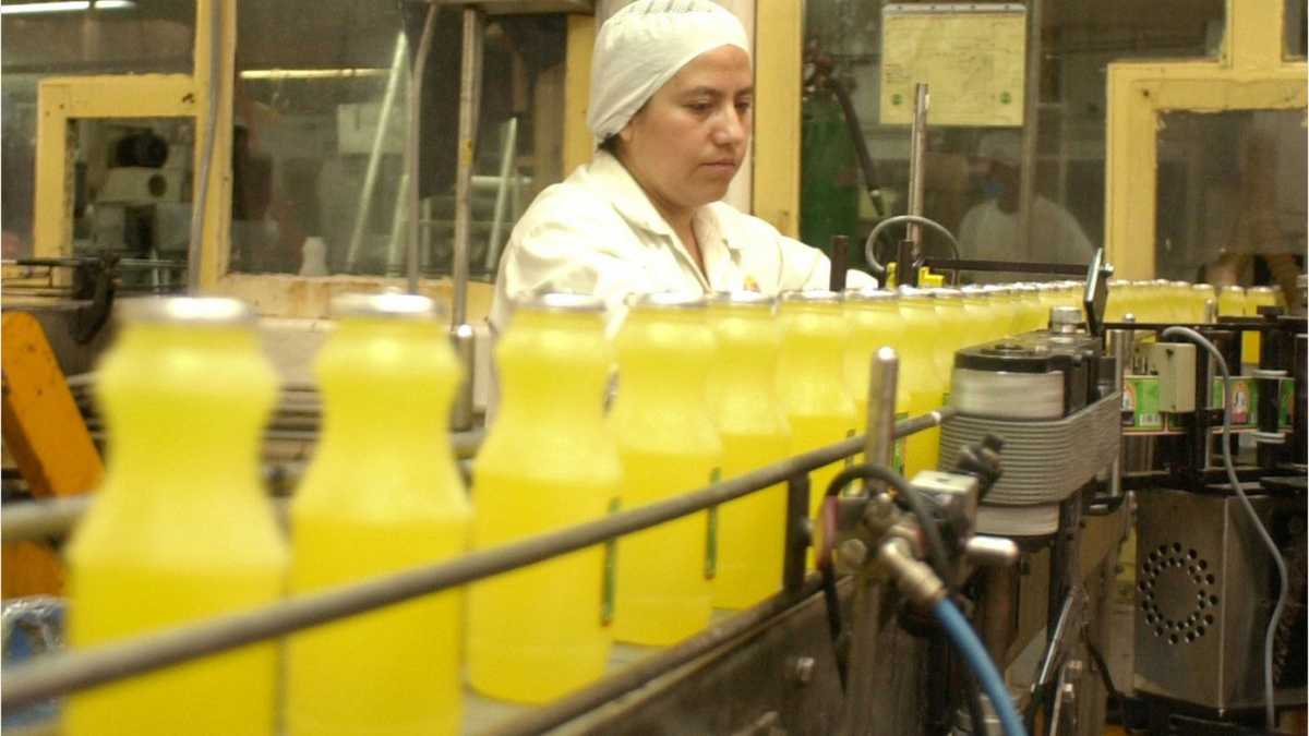 Does drinking orange juice really prevent the common cold?