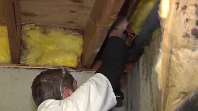 How to prepare your home for Florida freeze - Vimarsana News