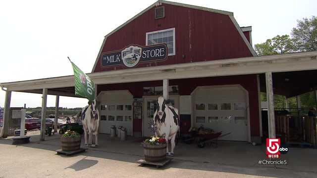 New England dairy farms look for ways to generate business - Vimarsana News