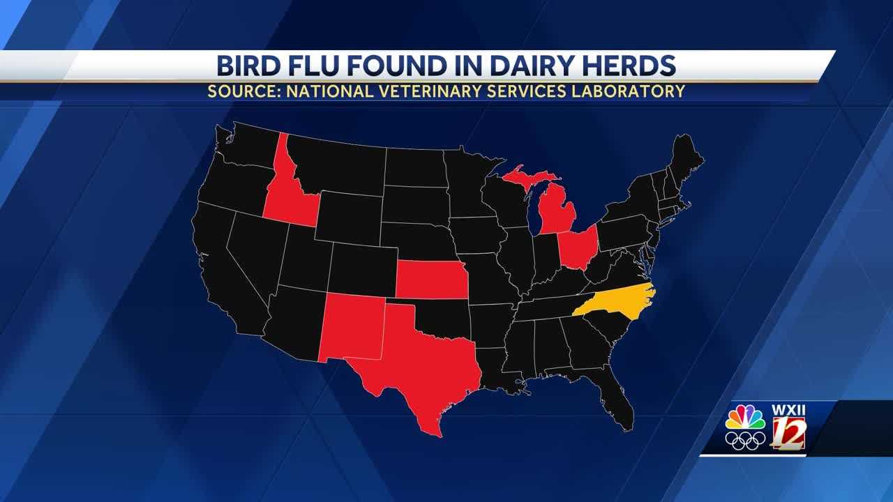 Bird flu found in dairy herd in North Carolina, state officials say - Vimarsana News