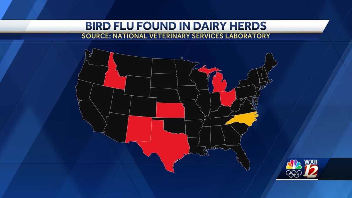Bird flu found in dairy herd in North Carolina, state officials say - WXII