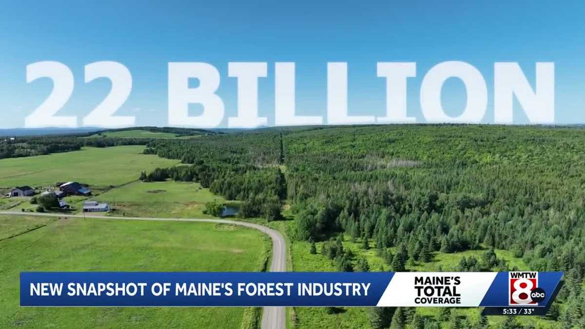 Maine’s forest industry is adapting. A new snapshot breaks down where it stands.