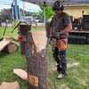 Chainsaw sculptor amazes fair attendees with live carvings at the Champlain Valley Fair