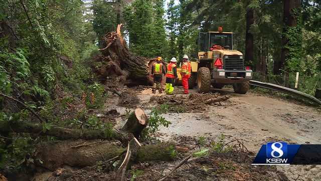 Heavy rain leads to fallen trees, mudslides in Santa Cruz Mountains - Vimarsana News
