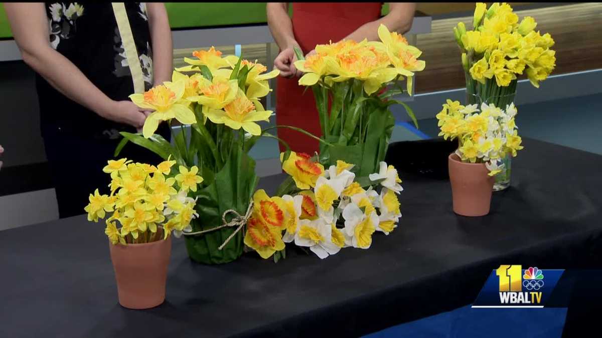 American Cancer Society stops by to discuss "Daffodil Day"