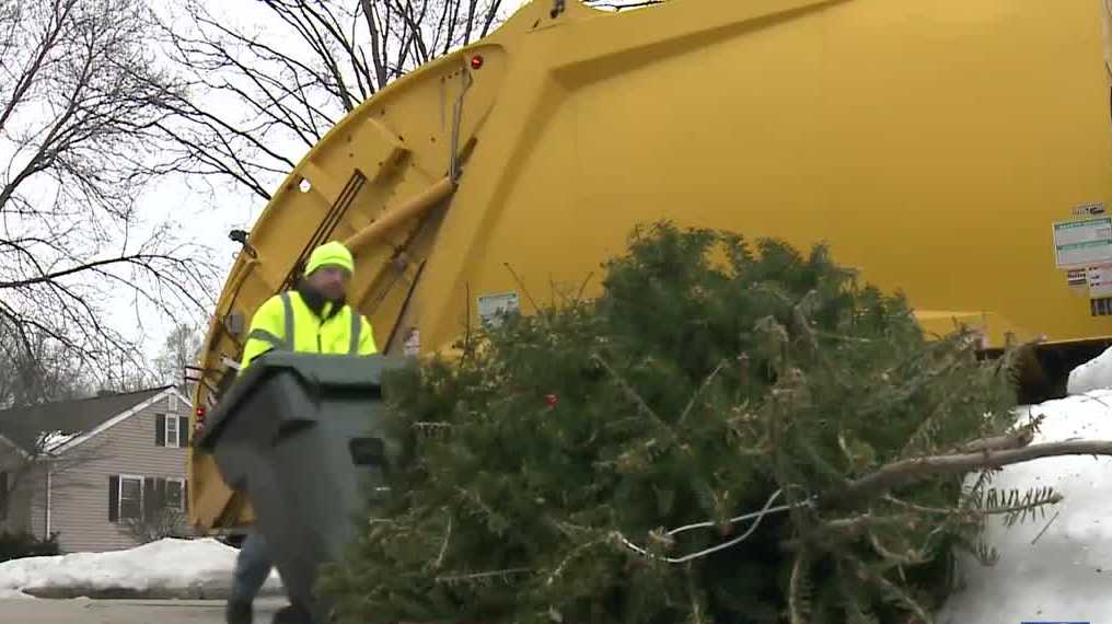 City of Milwaukee to address Christmas tree pickup policy Monday