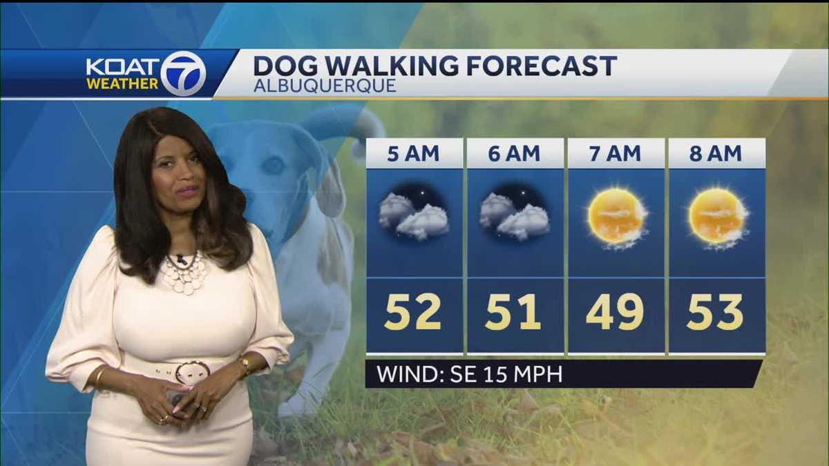 Cool and breezy with some above average temps