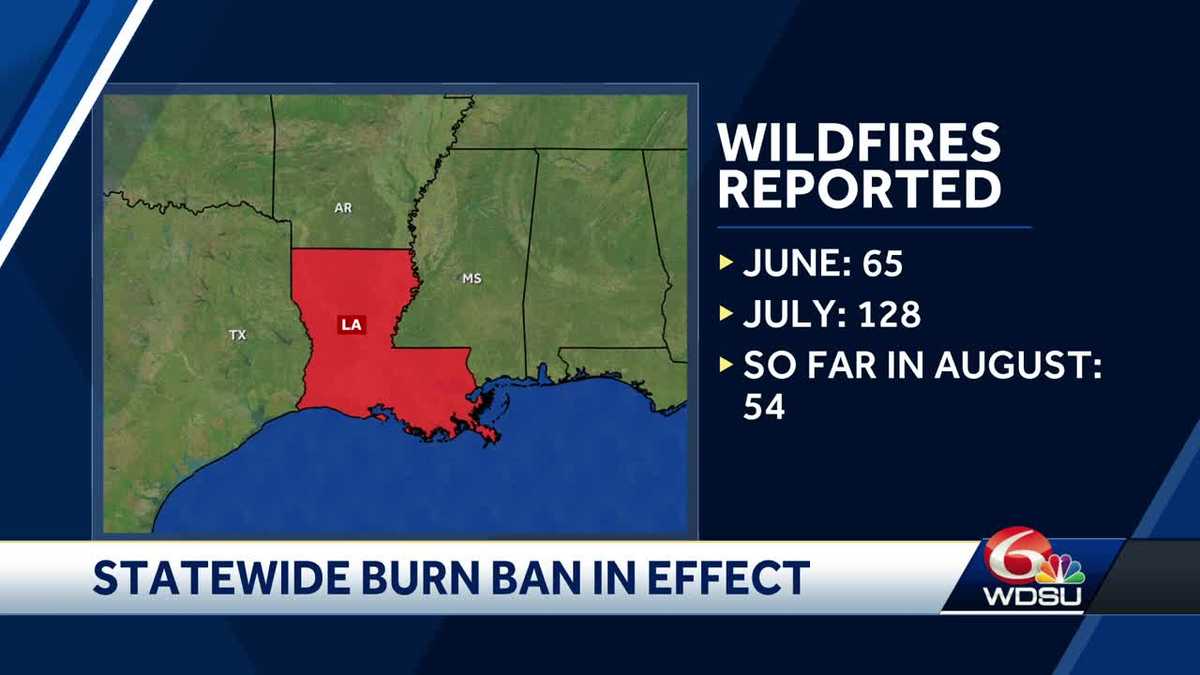 Louisiana statewide burn ban in effect