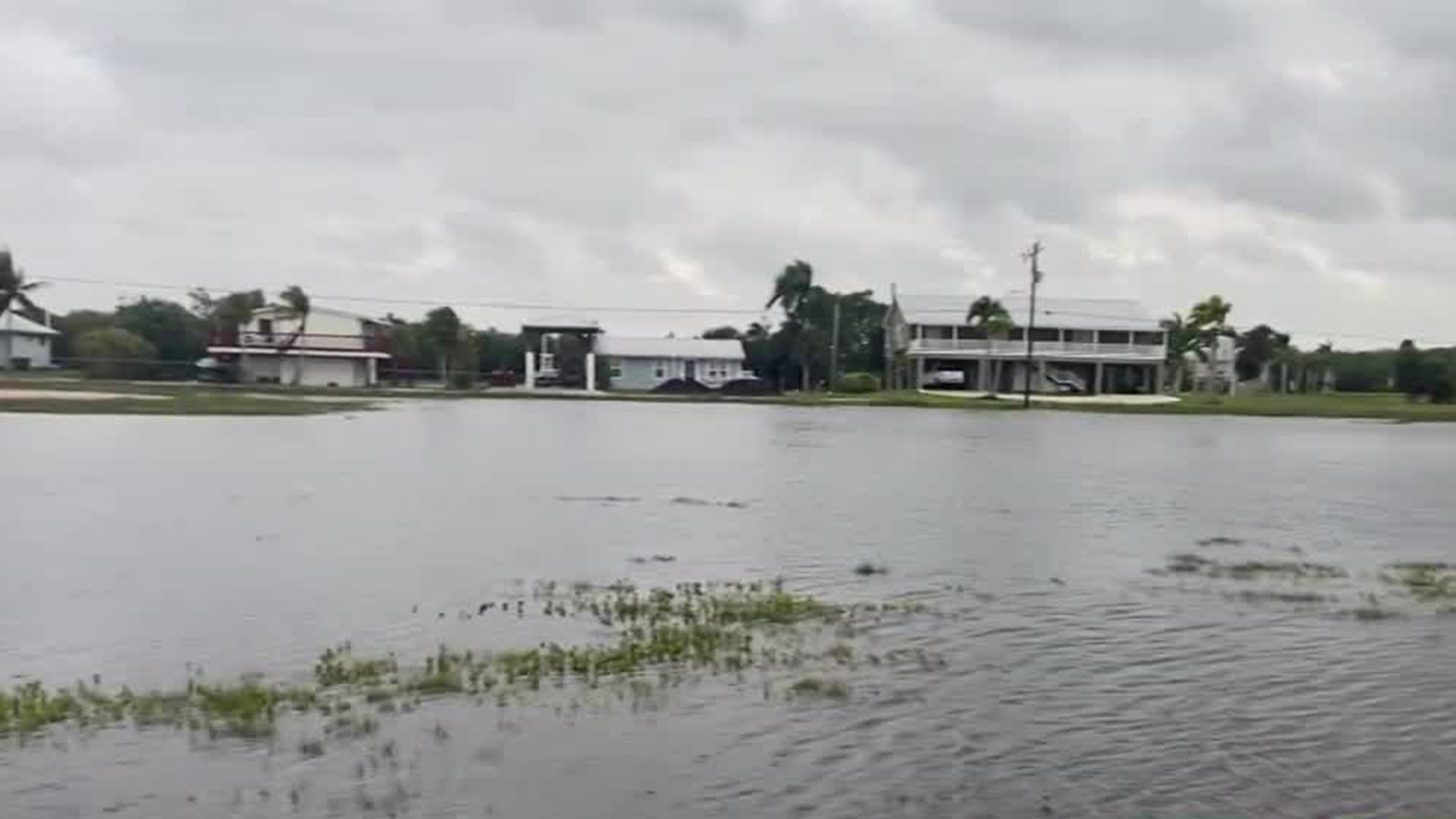 Streets and yards flooded in Everglades City after nearly 15 inches of rain - Vimarsana News