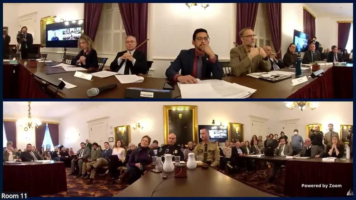 Vermont law enforcement testify about South Burlington ICE activity, protest