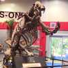 IMAGine That!: Celebrating National Fossil Day