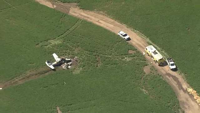 NTSB releases preliminary report on fatal plane crash outside Kearney - Vimarsana News