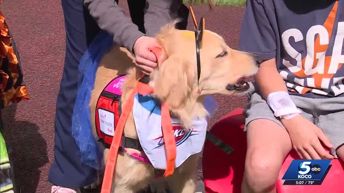 Therapy dogs bring Thunder spirit to OU Health patients