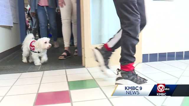 Meet 'Emerson,' Melcher Elementary School's furry friend - Vimarsana News