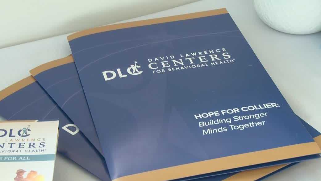 Naples mental health training program faces funding loss