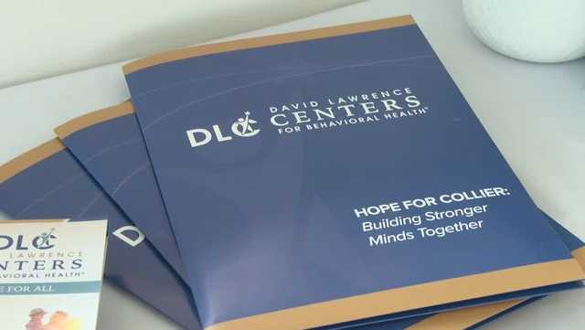 Naples mental health training program faces funding loss