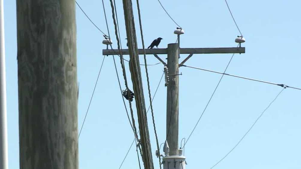 NH utility offers incentives to reduce energy use in the middle of the heat wave