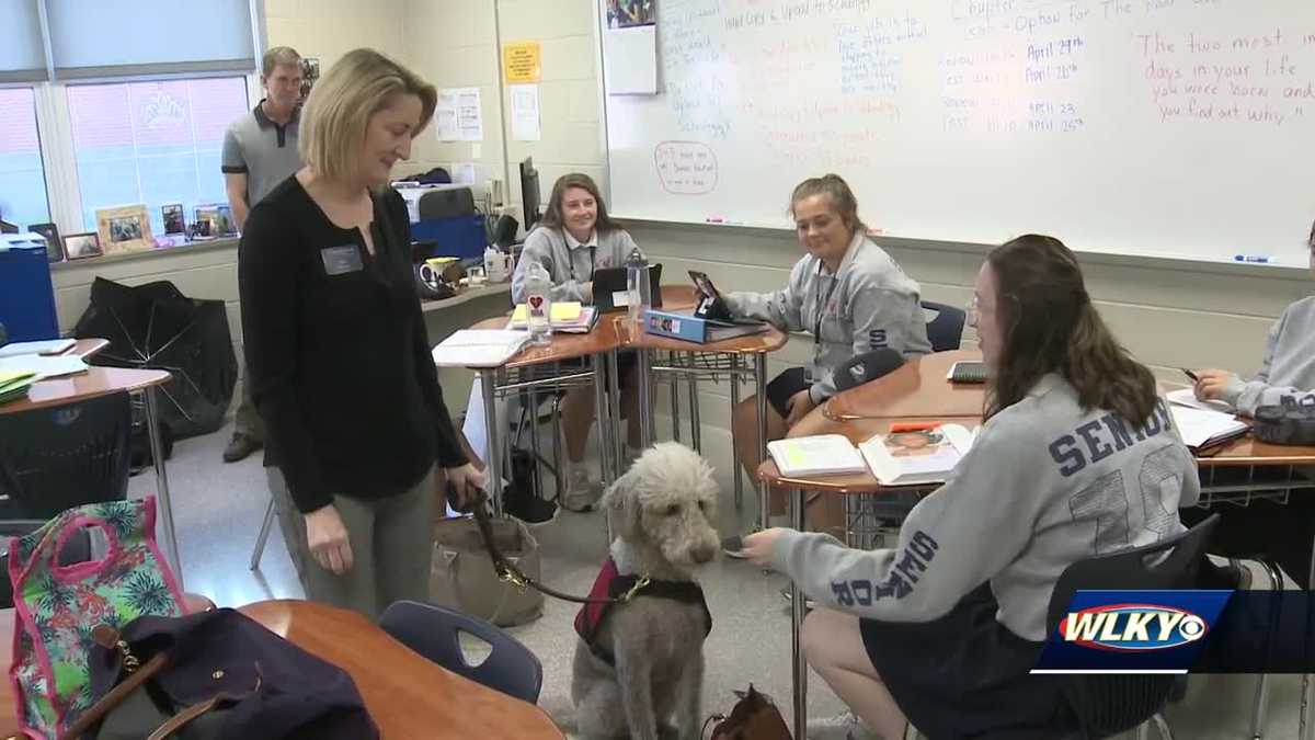Sacred Heart brightens students lives with therapy dog