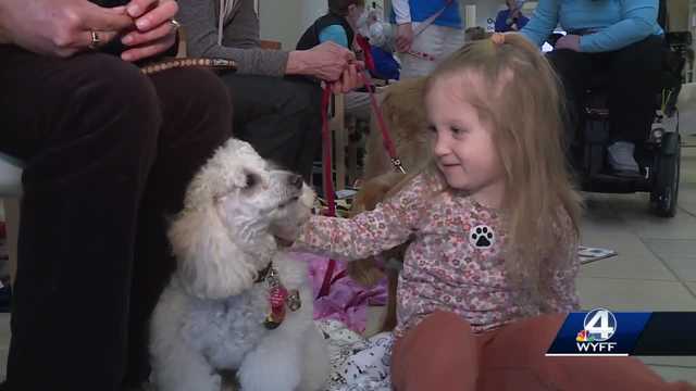 Upstate hospital celebrates partnership with therapy dog program - Vimarsana News