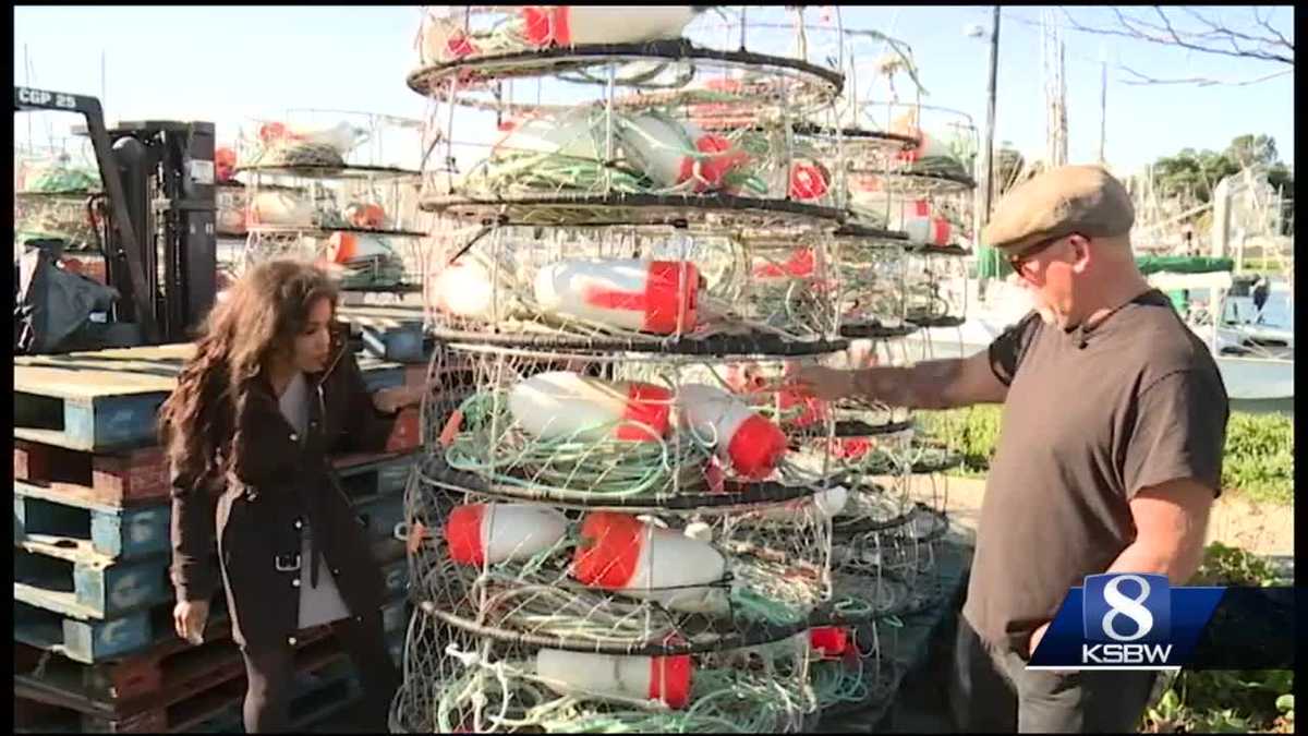 Commercial dungeness crab season is open on the Central Coast