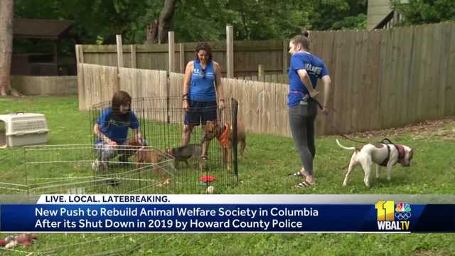 New owners take over shutdown animal shelter in Howard County - Vimarsana News