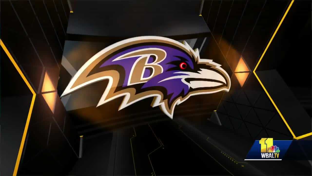 44+] Ravens and Orioles Wallpaper on WallpaperSafari