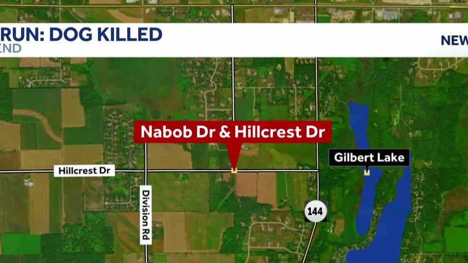 Hit-and-run driver sought after dog killed, pedestrian hurt in West Bend
