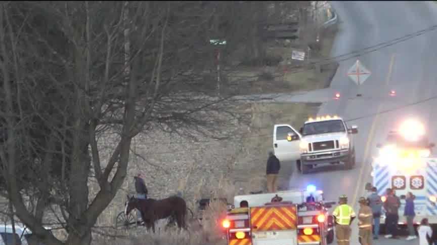 Man dies after truck hits horse and buggy in Mercer County