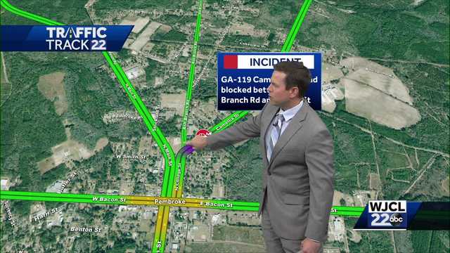 Georgia: Car crash results in major power outage, school closures - Vimarsana News