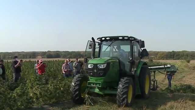 Hemp farmers say outdated regulations leave them disadvantaged - Vimarsana News