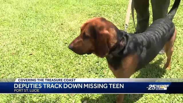Bloodhound dog helps find missing teen in Port St. Lucie - Vimarsana News
