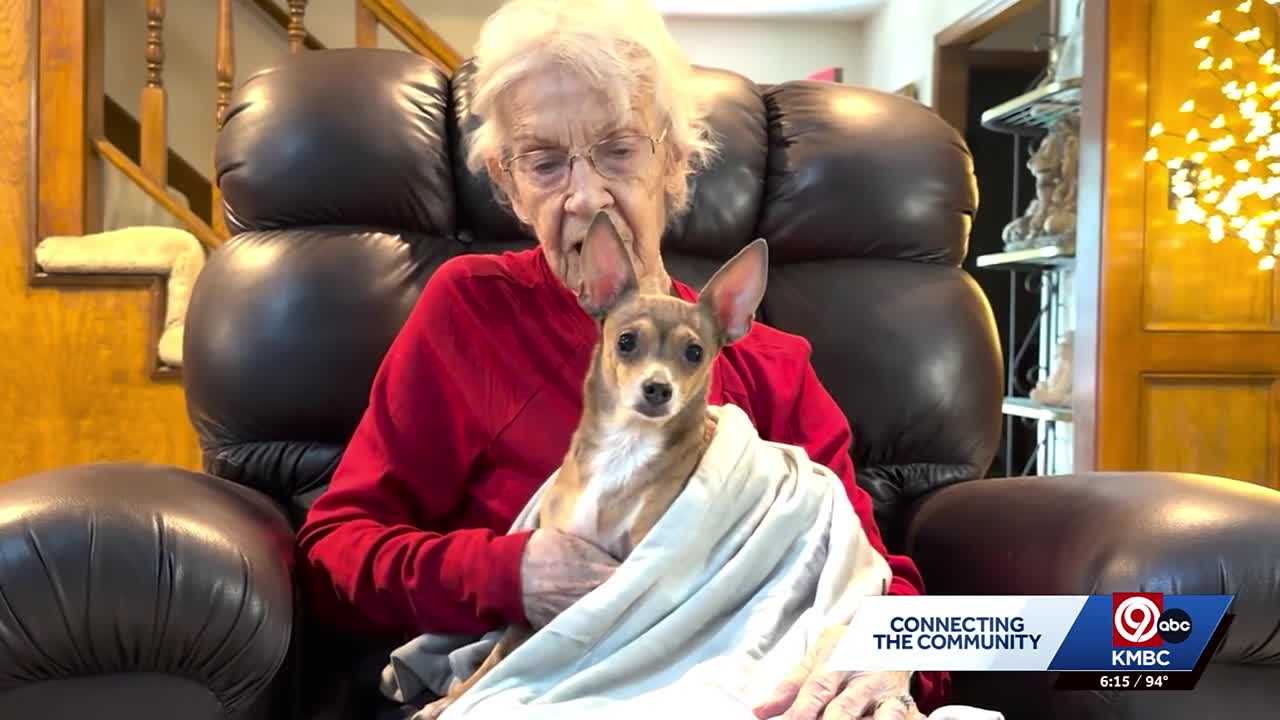 'Love at first sight': Blind Chihuahua Mocha finds loving home with 91-year-old woman
