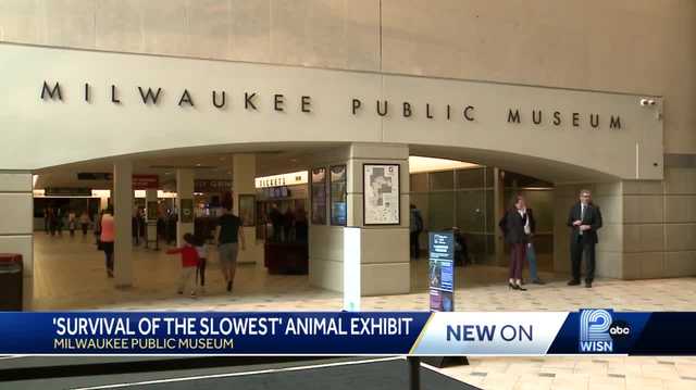 What to do in Milwaukee: MKE with Kids Weekend Picks: Feb. 9 to Feb. 12 - Vimarsana News