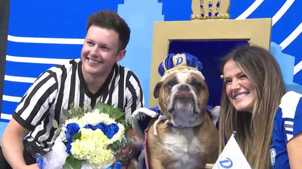 Finalists named for 2026 Drake Relays Beautiful Bulldog Contest - KCCI