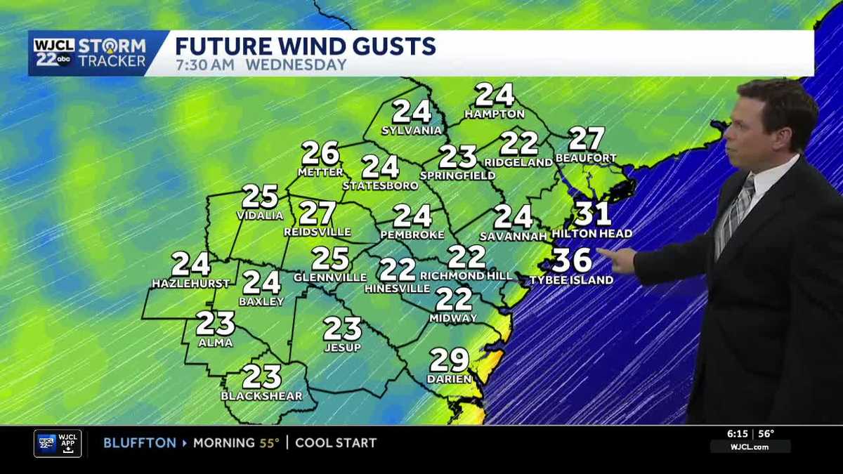 Gusty winds, dry air increase fire risk for Southeast Georgia, Lowcountry
