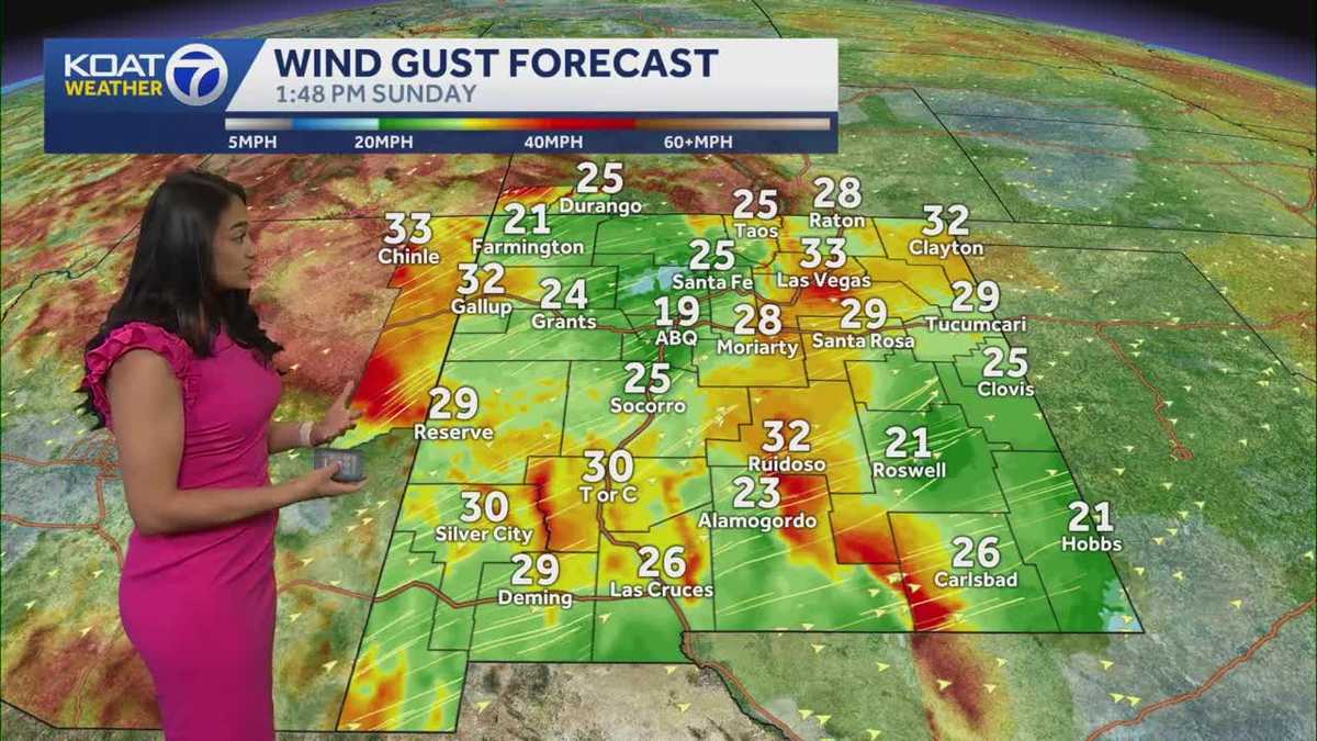 Sunshine returns on Sunday, but it will be breezy