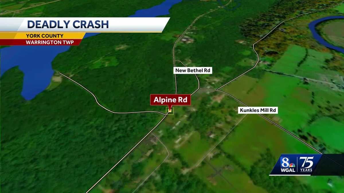 23-year-old man dies after crashing vehicle into tree in York County, Pa.