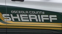 Michigan man dies after lightning strike in Celebration, sheriff's office says