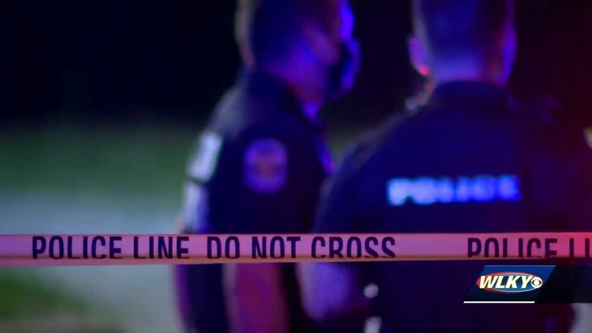 Metro Council committee begins discussions on ordinance creating LMPD ...