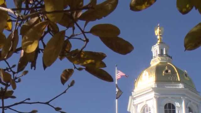 Some New Hampshire Republicans propose 15-day abortion ban - Vimarsana News