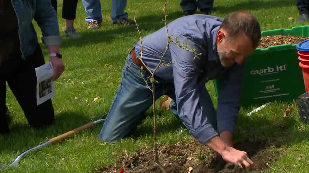 Hoyt Sherman Place plants cuttings from trees near Abraham Lincoln's grave - Vimarsana News