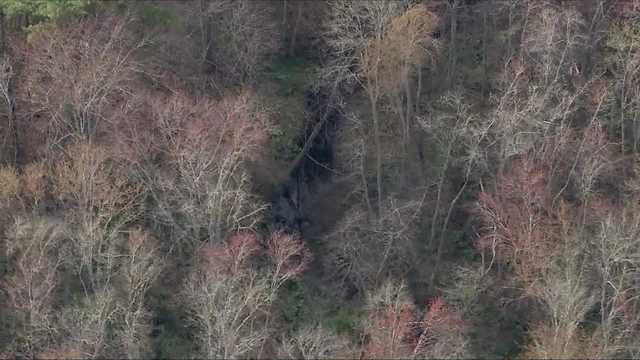 Possible human remains found in wooded area of Easton - Vimarsana News