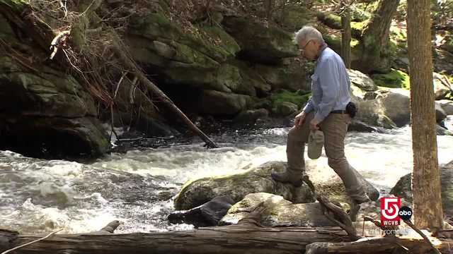 In Mass., catch a concert by the lake or hike to a waterfall - Vimarsana News