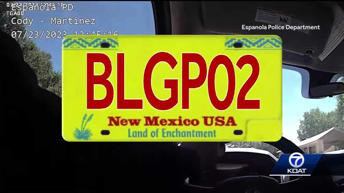 License plate cover leads to traffic stop mishap