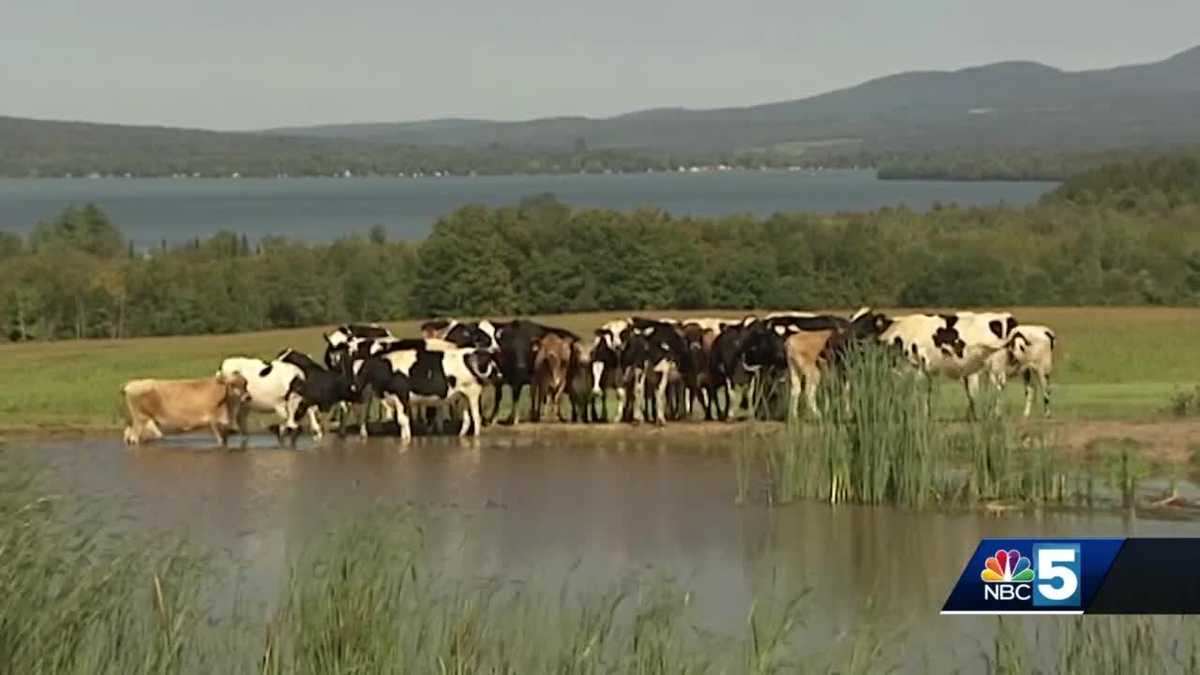 Leahy announces USDA funding for farm, water quality research - WPTZ