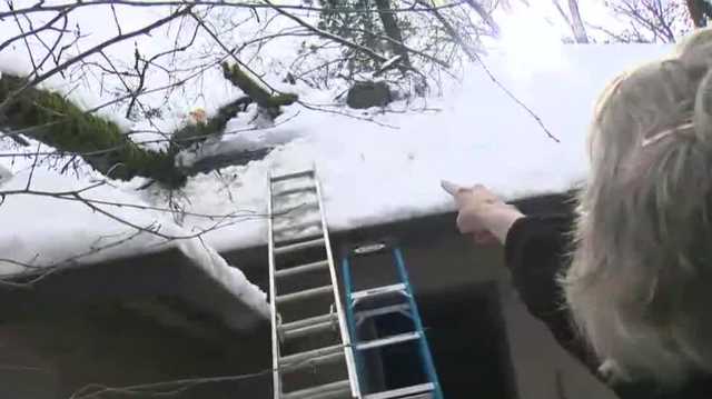 'The whole house shook!': Nevada Co. community cleans up heavy storm damage - Vimarsana News