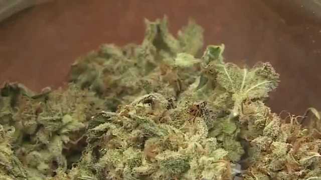 NH House gives initial approval to recreational marijuana bill - Vimarsana News