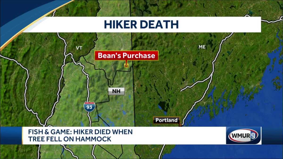 Hiker killed by falling tree in Bean's Purchase, NH