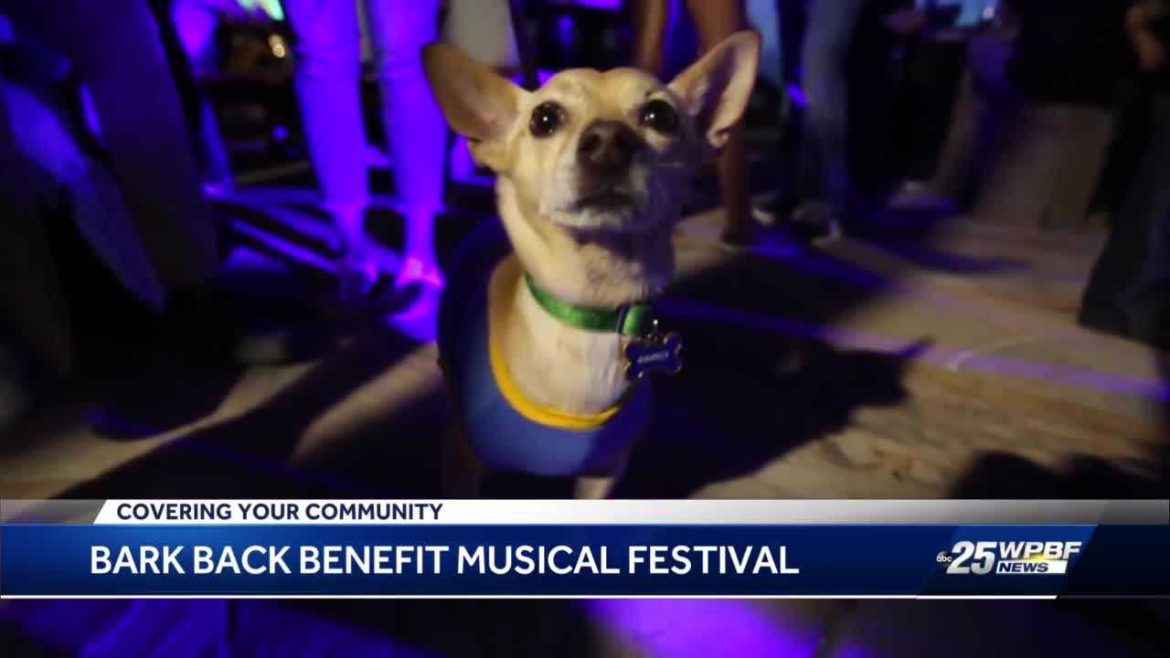 Florida Rescue Dog Benefit Grows Bigger For Its 7th Year